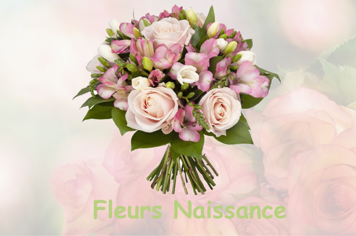 fleurs naissance LAROCHE-PRES-FEYT