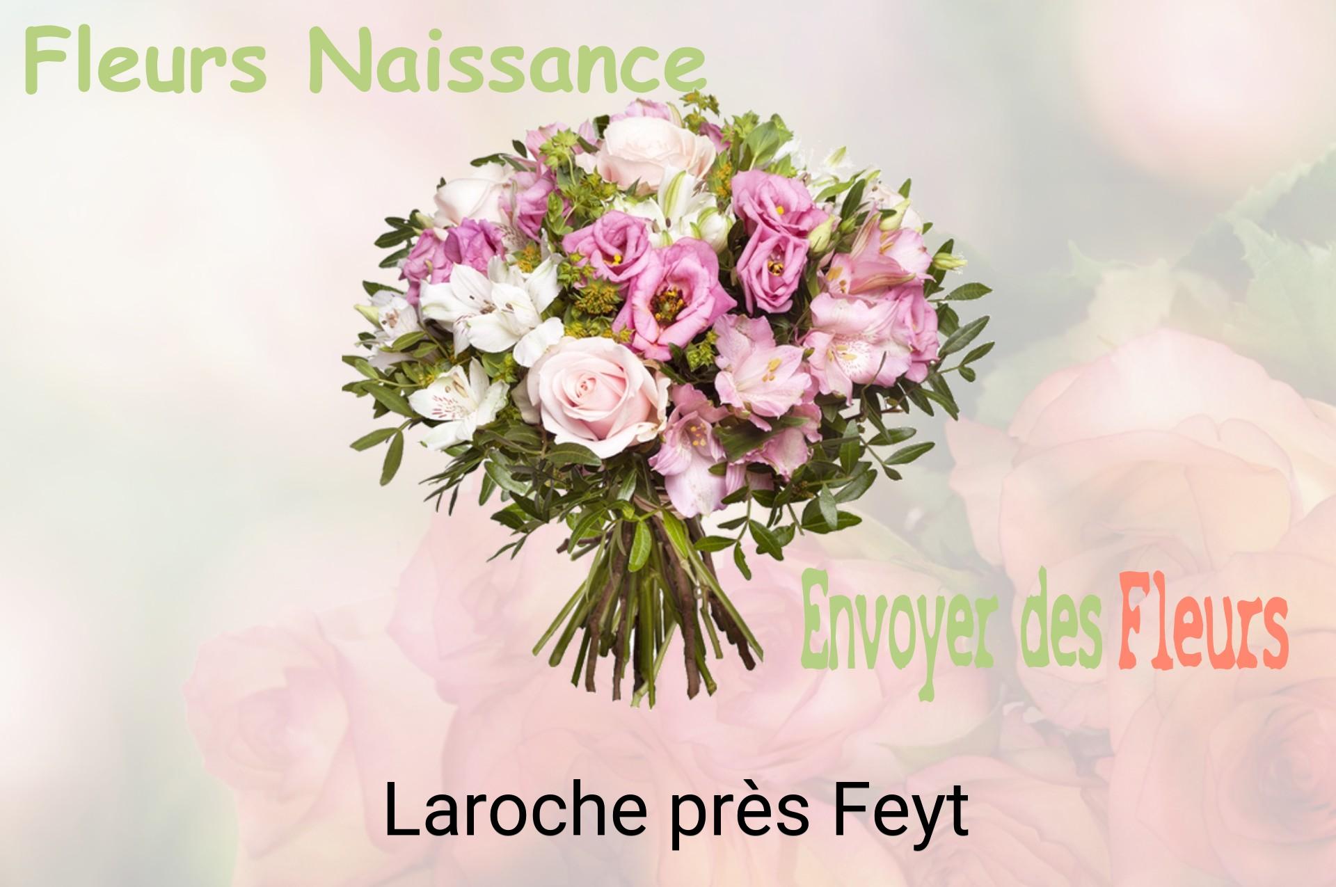 Bouquet de fleurs de naissance livré à Laroche-près-Feyt