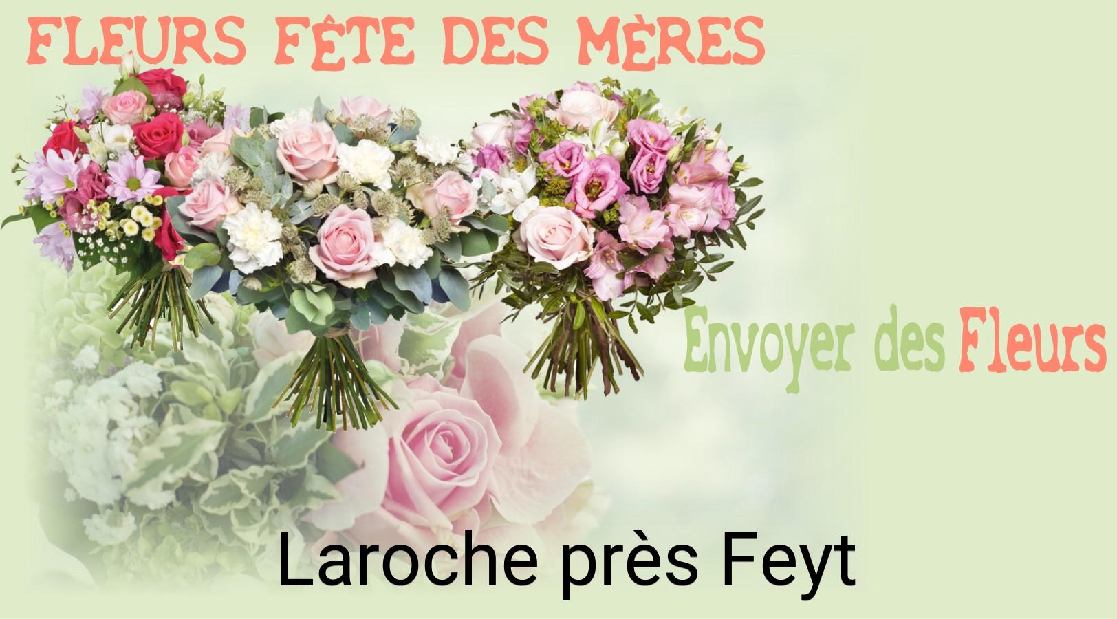Bouquet de Fête des Mères livré à Laroche-près-Feyt